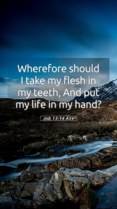Picture 05 - Job 13:14 ASV Mobile Phone Wallpaper - Wherefore should I take my flesh in my teeth, And - Mobile Bible Verse Wallpaper