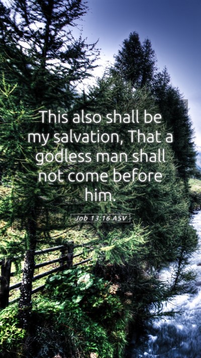 Picture 05 - Job 13:16 ASV Mobile Phone Wallpaper - This also shall be my salvation, That a godless - Mobile Bible Verse Wallpaper