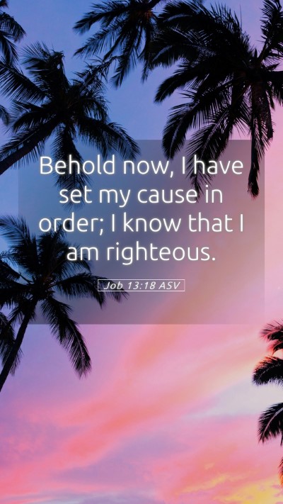 Picture 05 - Job 13:18 ASV Mobile Phone Wallpaper - Behold now, I have set my cause in order; I know - Mobile Bible Verse Wallpaper