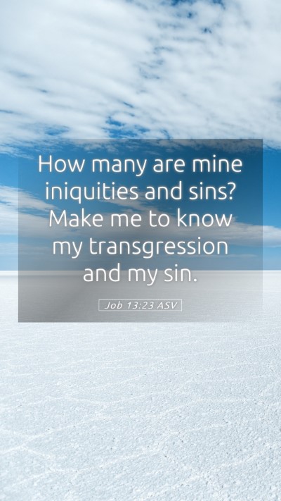 Picture 05 - Job 13:23 ASV Mobile Phone Wallpaper - How many are mine iniquities and sins? Make me to - Mobile Bible Verse Wallpaper
