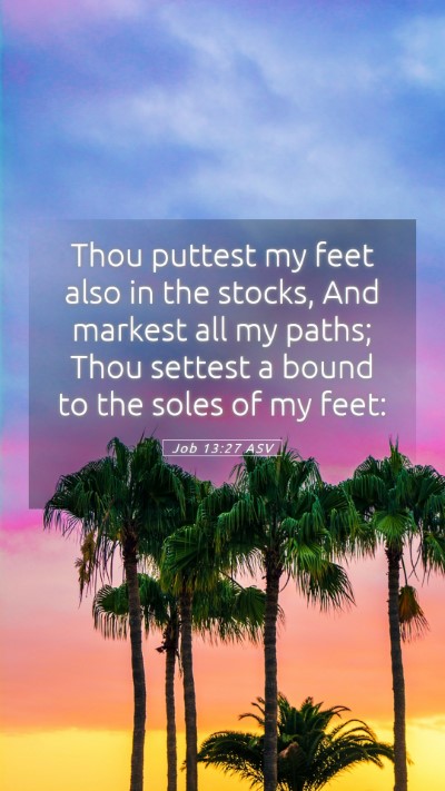 Picture 05 - Job 13:27 ASV Mobile Phone Wallpaper - Thou puttest my feet also in the stocks, And - Mobile Bible Verse Wallpaper