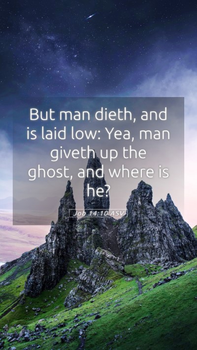 Picture 05 - Job 14:10 ASV Mobile Phone Wallpaper - But man dieth, and is laid low: Yea, man giveth - Mobile Bible Verse Wallpaper