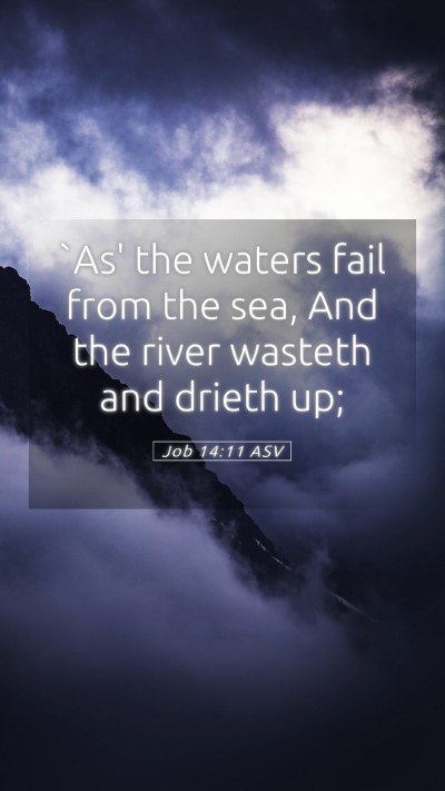 Picture 05 - Job 14:11 ASV Mobile Phone Wallpaper - `As' the waters fail from the sea, And the river - Mobile Bible Verse Wallpaper