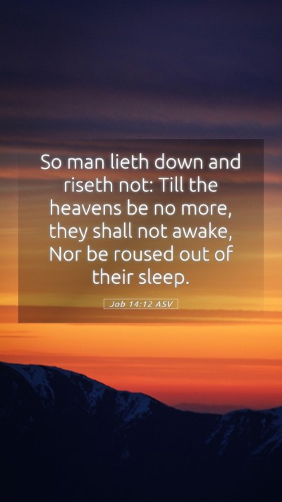 Picture 05 - Job 14:12 ASV Mobile Phone Wallpaper - So man lieth down and riseth not: Till the - Mobile Bible Verse Wallpaper