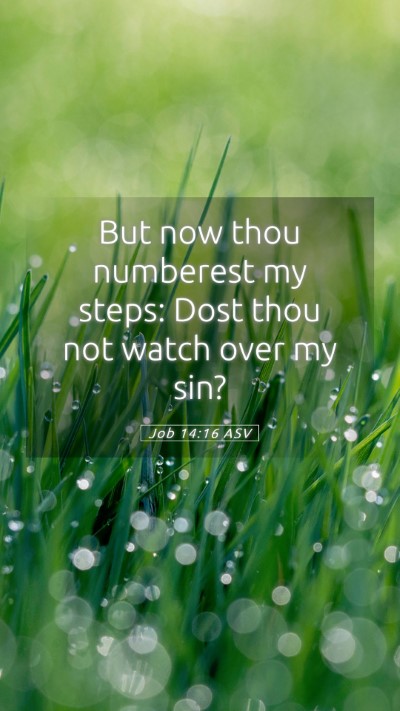 Picture 05 - Job 14:16 ASV Mobile Phone Wallpaper - But now thou numberest my steps: Dost thou not - Mobile Bible Verse Wallpaper