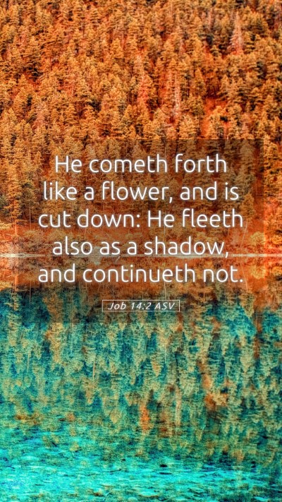 Picture 05 - Job 14:2 ASV Mobile Phone Wallpaper - He cometh forth like a flower, and is cut down: - Mobile Bible Verse Wallpaper