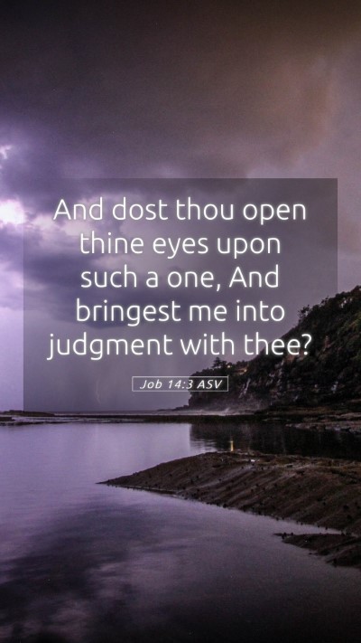 Picture 05 - Job 14:3 ASV Mobile Phone Wallpaper - And dost thou open thine eyes upon such a one, - Mobile Bible Verse Wallpaper