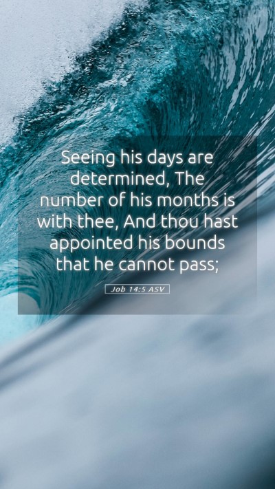 Picture 05 - Job 14:5 ASV Mobile Phone Wallpaper - Seeing his days are determined, The number of his - Mobile Bible Verse Wallpaper