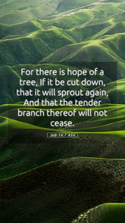 Picture 05 - Job 14:7 ASV Mobile Phone Wallpaper - For there is hope of a tree, If it be cut down, - Mobile Bible Verse Wallpaper