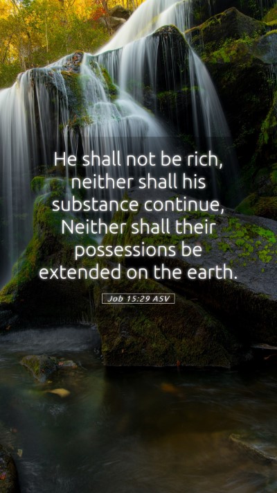 Picture 05 - Job 15:29 ASV Mobile Phone Wallpaper - He shall not be rich, neither shall his substance - Mobile Bible Verse Wallpaper