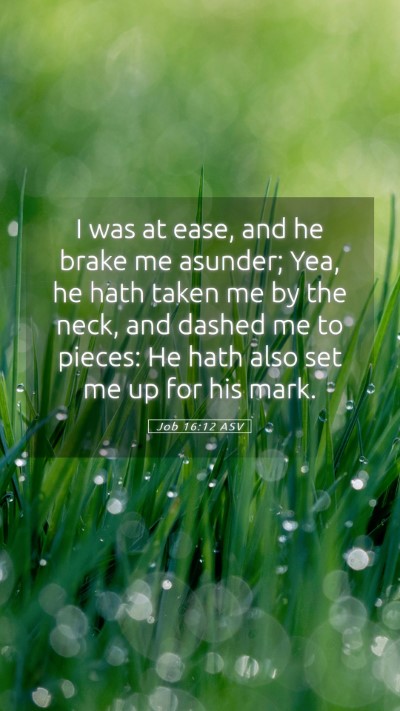 Picture 05 - Job 16:12 ASV Mobile Phone Wallpaper - I was at ease, and he brake me asunder; Yea, he - Mobile Bible Verse Wallpaper