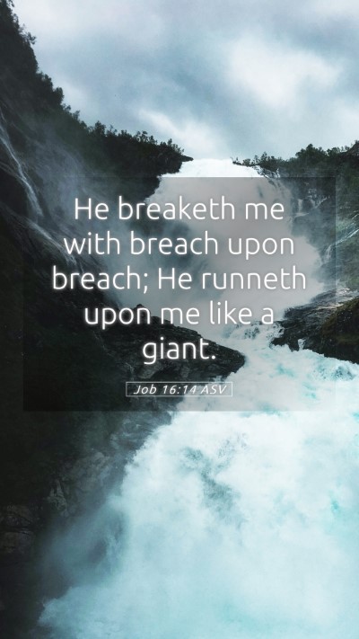 Picture 05 - Job 16:14 ASV Mobile Phone Wallpaper - He breaketh me with breach upon breach; He - Mobile Bible Verse Wallpaper