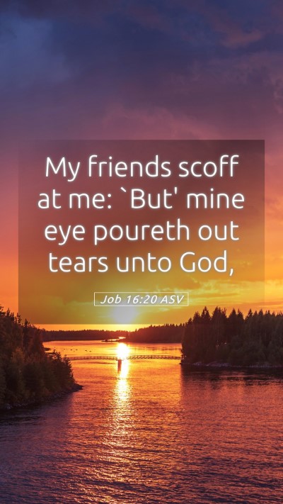 Picture 05 - Job 16:20 ASV Mobile Phone Wallpaper - My friends scoff at me: `But' mine eye poureth - Mobile Bible Verse Wallpaper
