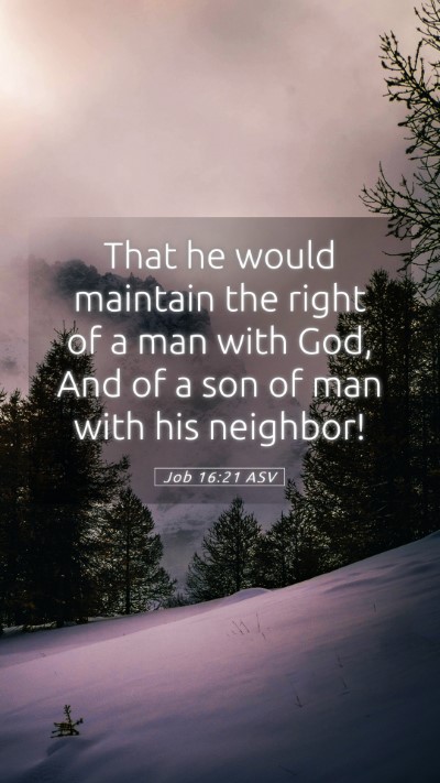 Picture 05 - Job 16:21 ASV Mobile Phone Wallpaper - That he would maintain the right of a man with - Mobile Bible Verse Wallpaper