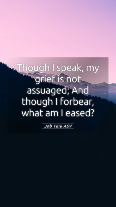 Picture 05 - Job 16:6 ASV Mobile Phone Wallpaper - Though I speak, my grief is not assuaged; And - Mobile Bible Verse Wallpaper
