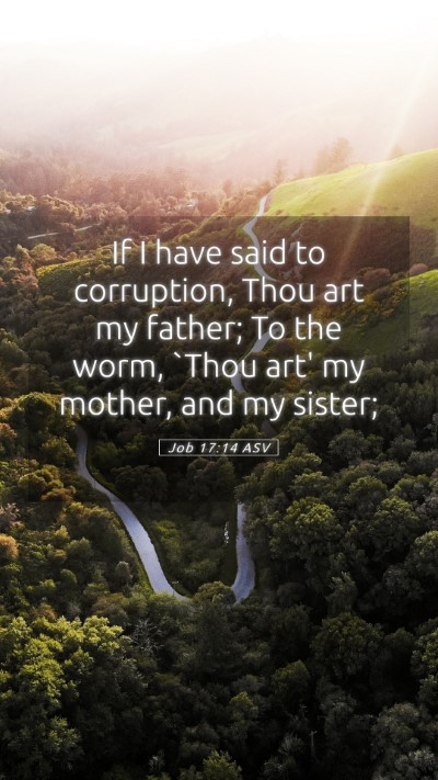 Picture 05 - Job 17:14 ASV Mobile Phone Wallpaper - If I have said to corruption, Thou art my father; - Mobile Bible Verse Wallpaper