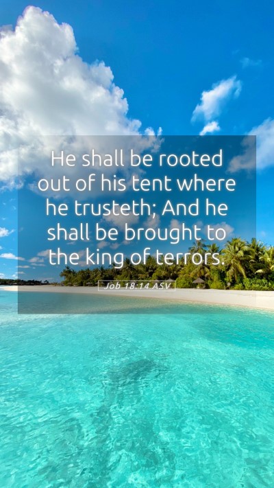 Picture 05 - Job 18:14 ASV Mobile Phone Wallpaper - He shall be rooted out of his tent where he - Mobile Bible Verse Wallpaper