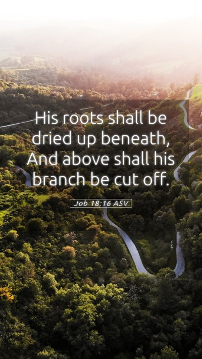 Picture 05 - Job 18:16 ASV Mobile Phone Wallpaper - His roots shall be dried up beneath, And above - Mobile Bible Verse Wallpaper