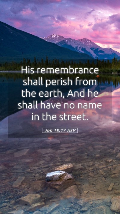 Picture 05 - Job 18:17 ASV Mobile Phone Wallpaper - His remembrance shall perish from the earth, And - Mobile Bible Verse Wallpaper