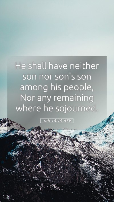 Picture 05 - Job 18:19 ASV Mobile Phone Wallpaper - He shall have neither son nor son's son among his - Mobile Bible Verse Wallpaper