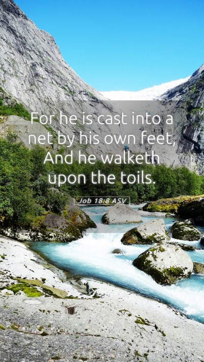 Picture 05 - Job 18:8 ASV Mobile Phone Wallpaper - For he is cast into a net by his own feet, And he - Mobile Bible Verse Wallpaper