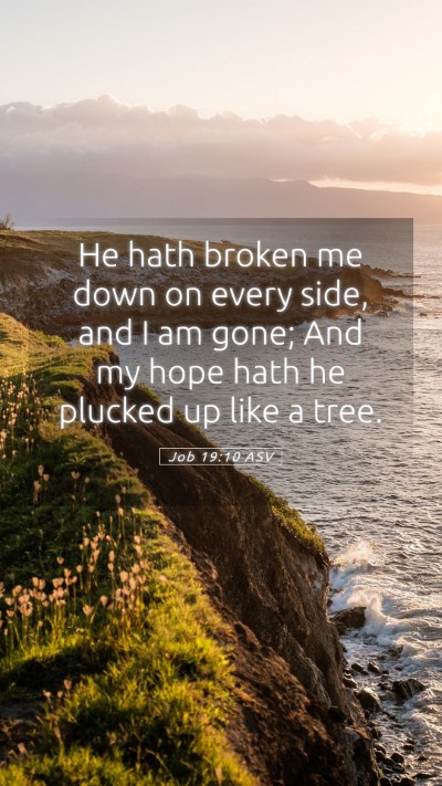Picture 05 - Job 19:10 ASV Mobile Phone Wallpaper - He hath broken me down on every side, and I am - Mobile Bible Verse Wallpaper