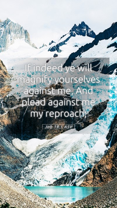 Picture 05 - Job 19:5 ASV Mobile Phone Wallpaper - If indeed ye will magnify yourselves against me, - Mobile Bible Verse Wallpaper