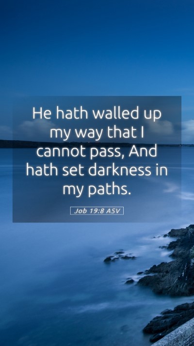 Picture 05 - Job 19:8 ASV Mobile Phone Wallpaper - He hath walled up my way that I cannot pass, And - Mobile Bible Verse Wallpaper