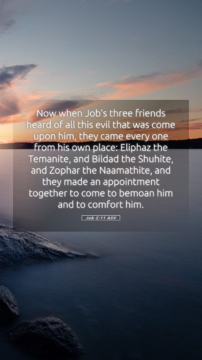 Picture 05 - Job 2:11 ASV Mobile Phone Wallpaper - Now when Job's three friends heard of all this - Mobile Bible Verse Wallpaper