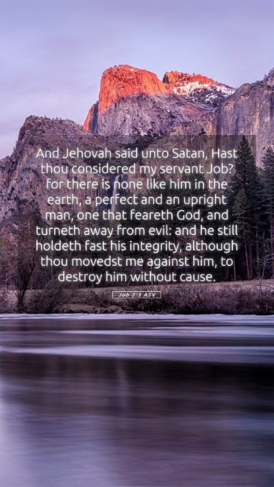 Picture 05 - Job 2:3 ASV Mobile Phone Wallpaper - And Jehovah said unto Satan, Hast thou considered - Mobile Bible Verse Wallpaper