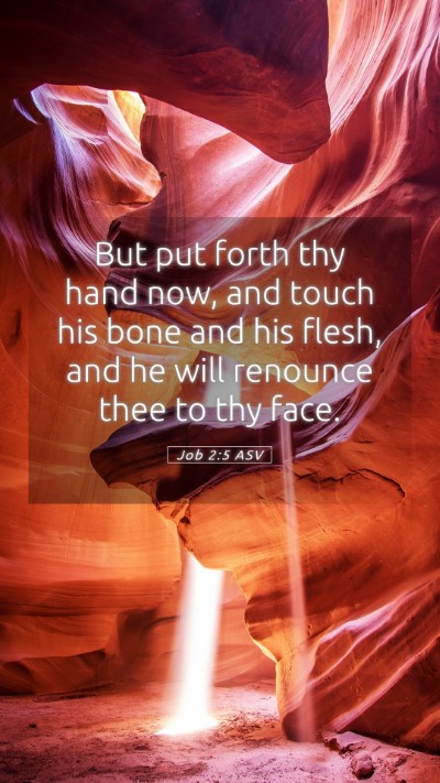 Picture 05 - Job 2:5 ASV Mobile Phone Wallpaper - But put forth thy hand now, and touch his bone - Mobile Bible Verse Wallpaper