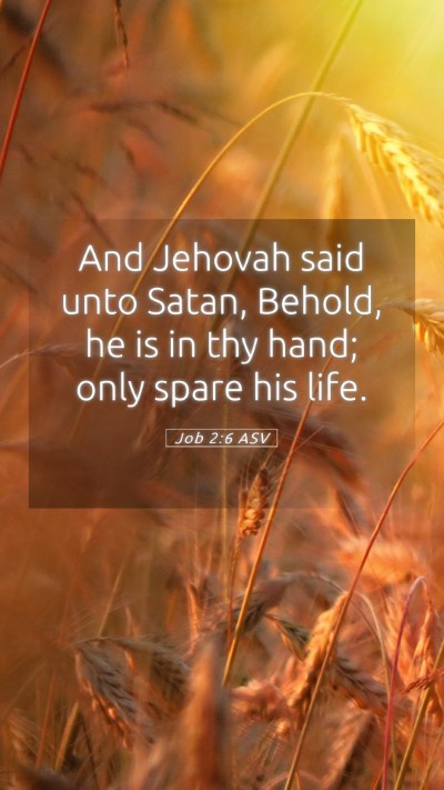 Picture 05 - Job 2:6 ASV Mobile Phone Wallpaper - And Jehovah said unto Satan, Behold, he is in thy - Mobile Bible Verse Wallpaper