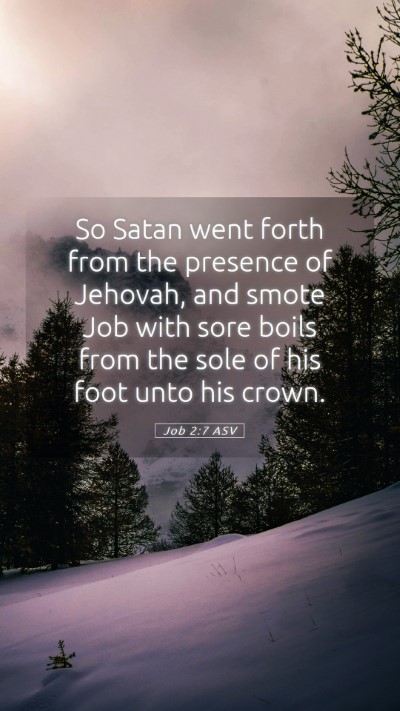 Picture 05 - Job 2:7 ASV Mobile Phone Wallpaper - So Satan went forth from the presence of Jehovah, - Mobile Bible Verse Wallpaper