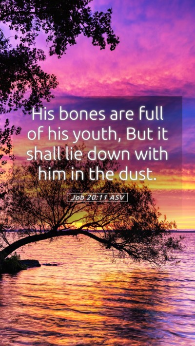 Picture 05 - Job 20:11 ASV Mobile Phone Wallpaper - His bones are full of his youth, But it shall lie - Mobile Bible Verse Wallpaper