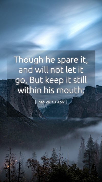 Picture 05 - Job 20:13 ASV Mobile Phone Wallpaper - Though he spare it, and will not let it go, But - Mobile Bible Verse Wallpaper