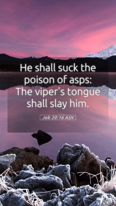 Picture 05 - Job 20:16 ASV Mobile Phone Wallpaper - He shall suck the poison of asps: The viper's - Mobile Bible Verse Wallpaper