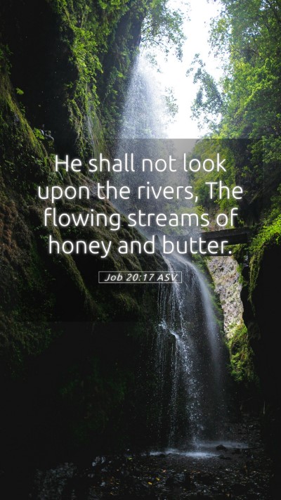 Picture 05 - Job 20:17 ASV Mobile Phone Wallpaper - He shall not look upon the rivers, The flowing - Mobile Bible Verse Wallpaper