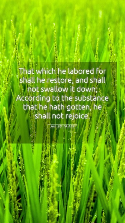 Picture 05 - Job 20:18 ASV Mobile Phone Wallpaper - That which he labored for shall he restore, and - Mobile Bible Verse Wallpaper