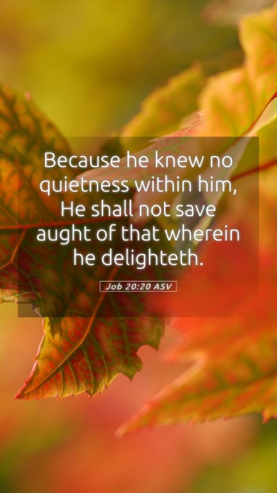 Picture 05 - Job 20:20 ASV Mobile Phone Wallpaper - Because he knew no quietness within him, He shall - Mobile Bible Verse Wallpaper