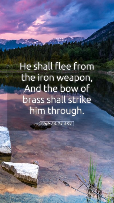 Picture 05 - Job 20:24 ASV Mobile Phone Wallpaper - He shall flee from the iron weapon, And the bow - Mobile Bible Verse Wallpaper