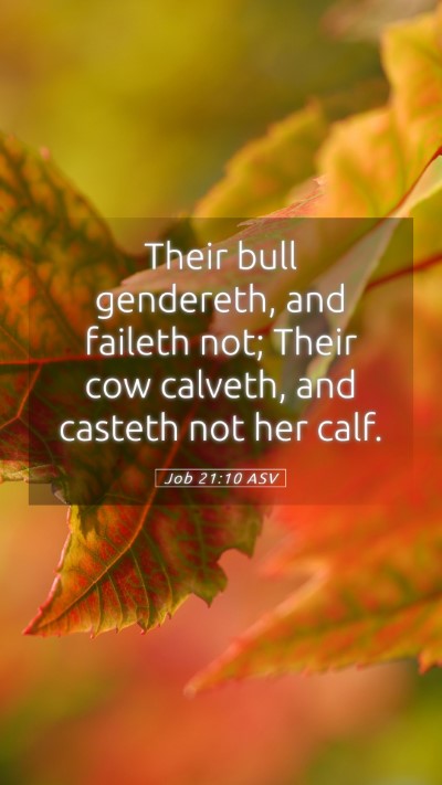 Picture 05 - Job 21:10 ASV Mobile Phone Wallpaper - Their bull gendereth, and faileth not; Their cow - Mobile Bible Verse Wallpaper