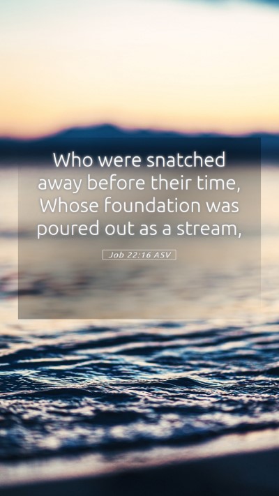 Picture 05 - Job 22:16 ASV Mobile Phone Wallpaper - Who were snatched away before their time, Whose - Mobile Bible Verse Wallpaper