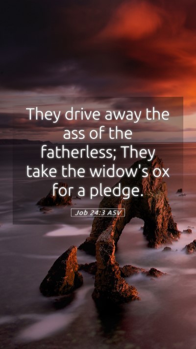 Picture 05 - Job 24:3 ASV Mobile Phone Wallpaper - They drive away the ass of the fatherless; They - Mobile Bible Verse Wallpaper