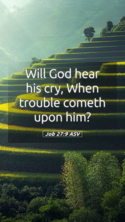 Picture 05 - Job 27:9 ASV Mobile Phone Wallpaper - Will God hear his cry, When trouble cometh upon - Mobile Bible Verse Wallpaper