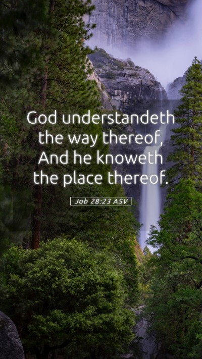 Picture 05 - Job 28:23 ASV Mobile Phone Wallpaper - God understandeth the way thereof, And he knoweth - Mobile Bible Verse Wallpaper