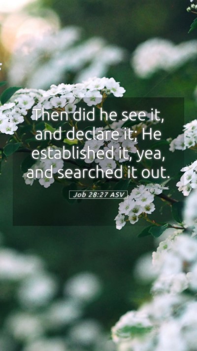 Picture 05 - Job 28:27 ASV Mobile Phone Wallpaper - Then did he see it, and declare it; He - Mobile Bible Verse Wallpaper