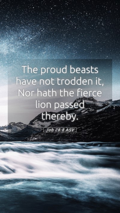Picture 05 - Job 28:8 ASV Mobile Phone Wallpaper - The proud beasts have not trodden it, Nor hath - Mobile Bible Verse Wallpaper