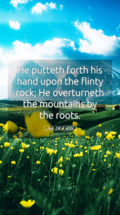 Picture 05 - Job 28:9 ASV Mobile Phone Wallpaper - He putteth forth his hand upon the flinty rock; - Mobile Bible Verse Wallpaper
