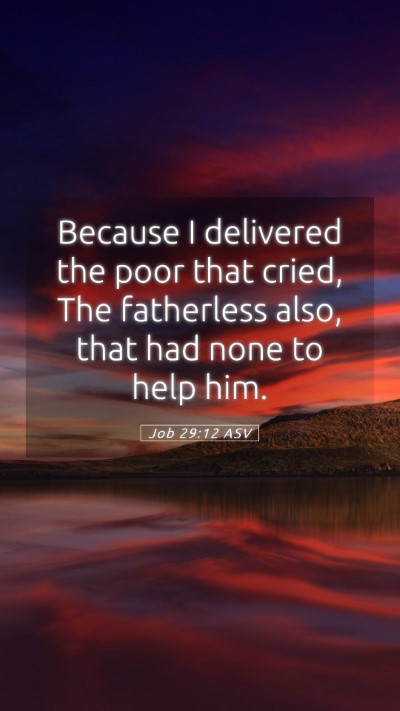 Picture 05 - Job 29:12 ASV Mobile Phone Wallpaper - Because I delivered the poor that cried, The - Mobile Bible Verse Wallpaper