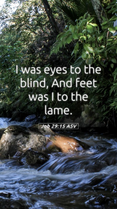 Picture 05 - Job 29:15 ASV Mobile Phone Wallpaper - I was eyes to the blind, And feet was I to the - Mobile Bible Verse Wallpaper